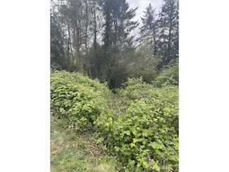 0 Bay View - 8th St Unit 1-15, Baycity, OR 97107
