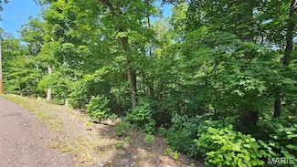 2062 Heather Dr, Lake Sherwood, MO 63357