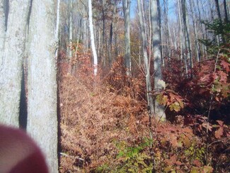 0 Autumn Dr Unit 201831540, Richfield Township, MI 48656