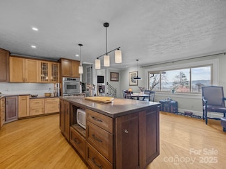 213 Monticello Rd, Weaverville, NC 28787