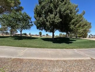 14910 Fireside Ln, Helendale, CA 92342