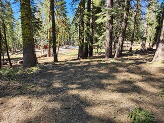 1455 Skyline Dr, Tamarack, CA 95223
