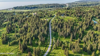 17475 Arcturus Loop, Ninilchik, AK 99639