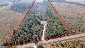 0 Piney Grove Church Rd Unit 10424837, Baxley, GA 31513