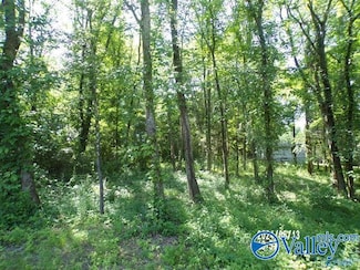 .31 Ac Lot Hackberry Ln, Hokes Bluff, AL 35903
