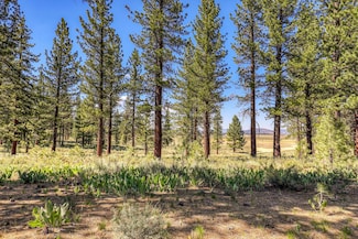 7445 Lahontan Dr, Truckee, CA 96161