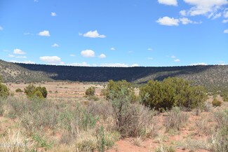 3987 Aztec Rd, Snowflake, AZ 85937