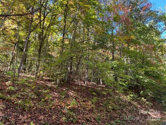 00 Tract B&C Us Highway 441 None S, Sylva, NC 28779