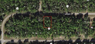 1628 E Badger Dr, Citrus Springs, FL 34434