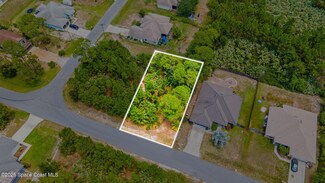 2861 Fontainebleau Ave SE, Palm Bay, FL 32909