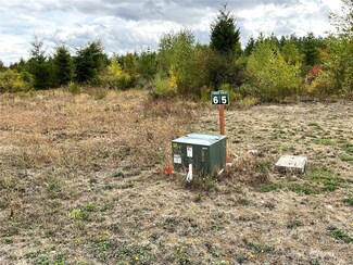 15610 Timber Ridge Dr SE, Yelm, WA 98597