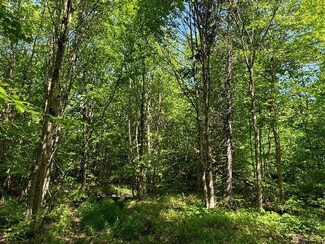 0 Mud Brook Rd, Lewis, NY 13325