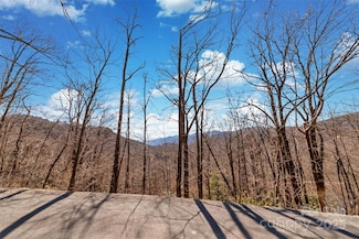 965 Wolf Pen Rd, Old Fort, NC 28762