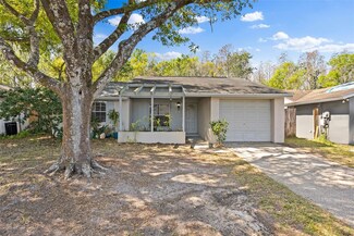 2906 Cedaridge Dr, Tampa, FL 33618