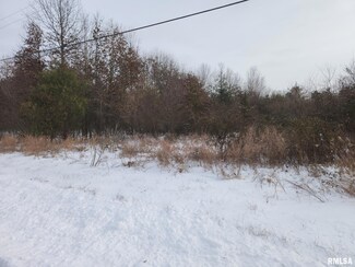 LOT 5 County Road 1535 N, Mount Vernon, IL 62864