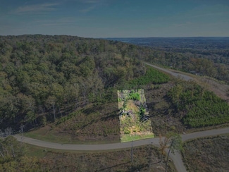 LOT 77 Boat House Dr, Guntersville, AL 35976