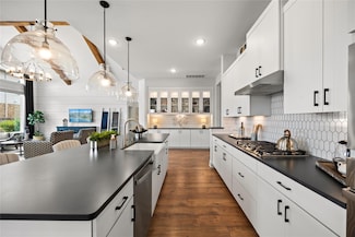 21109 Carries Ranch Rd, Pflugerville, TX 78660