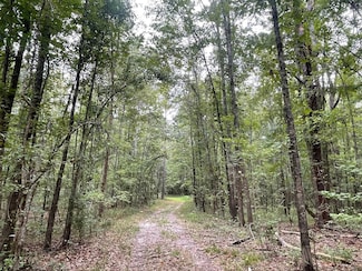 124 Chitlin Switch Rd, Alberta, AL 36720
