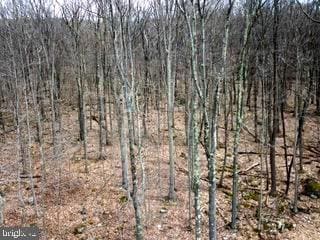 0 Bear Run Rd, Oakland, MD 21550