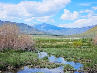 Lot 10 Dry Fork Rd, Moore, ID 83255