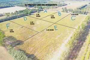 0 W Shelby Rd Unit Parcel B 25011963, Shelby, MI 49455
