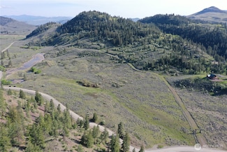 0 Tbd Wannacut Lake Rd Lot 7, Oroville, WA 98844