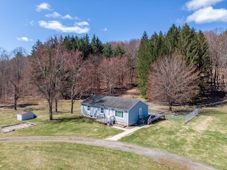 193 Fenner Hill Rd, Port Crane, NY 13833