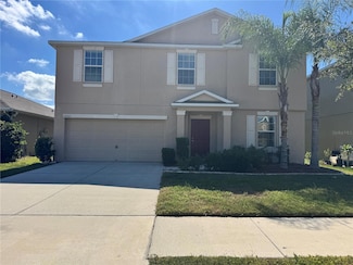 10021 Crested Fringe Dr, Riverview, FL 33578