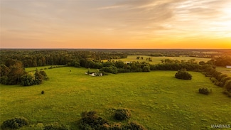 140 Flowers Rd, Fitzpatrick, AL 36029