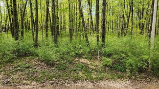 10904 Thornapple Dr, Canadian Lakes, MI 49346