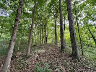 605 W County Road 425 S, Rockville, IN 47872