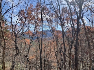 0 Lot # 3 Panther Creek Properties, Almond, NC 28702