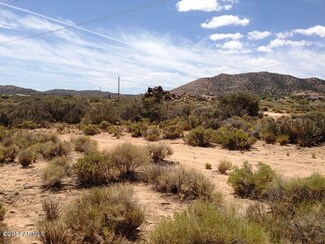 29C Spring Valley Dr Unit 29C, Hackberry, AZ 86411