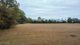 5340 Clinton-Tinnin Rd, Jackson, MS 39209