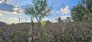 8692 E Baseline Rd, Mount Pleasant, MI 48858