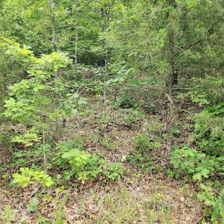 L-137, B-18 Tampa Trace, Cherokee Village, AR 72529