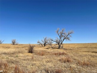 00001 County Road 26 Rd, Ramah, CO 80832