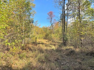 TBD Berger Rd, Hazelton, WV 26525