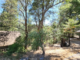 0 Sky Ridge Dr, Twin Peaks, CA 92391
