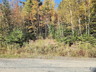 Lot 5-8 Bushey Rd, Greenville, ME 04441