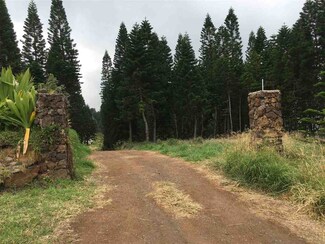 0 Kamehameiki Rd Unit 14-C 368739, Kula, HI 96790