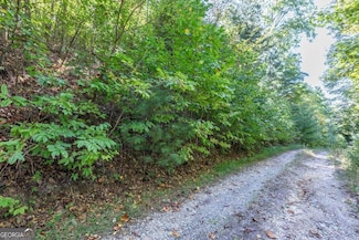 L2&3 Crab Apple Rd, Blairsville, GA 30512