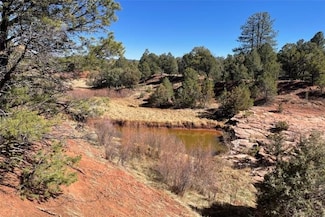 5 F6F Camino Real Loop, Pecos, NM 87552