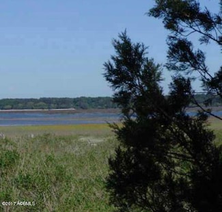 5 Woodstork Watch, Okatie, SC 29909