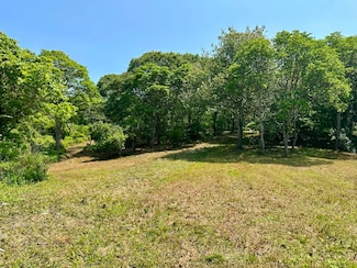 0 Jeffers Way Unit 165 43370, Aquinnah, MA 02535