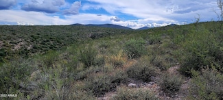 Lot 1 N Pima Place Unit 1, Tombstone, AZ 85638