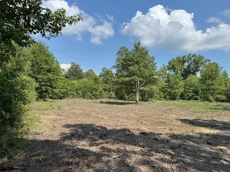 TBD County Road 4855, Timpson, TX 75975