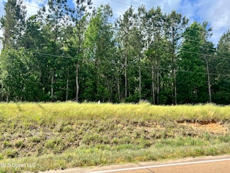 0 Lot 7 Hwy 24 Unit 4095669, Centreville, MS 39631