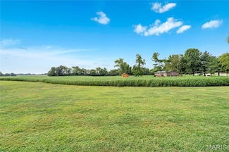 Lot 1 E Back St, Hecker, IL 62248