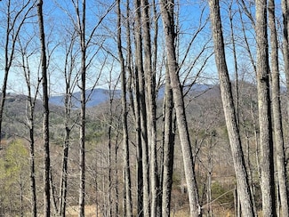 22M 26M Ridges Fairway, Hayesville, NC 28904